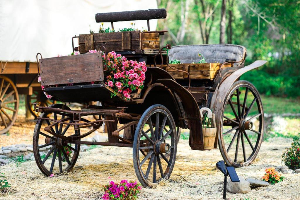 Cozy Wild West Covered Wagon Next To River Grants Pass Eksteriør billede